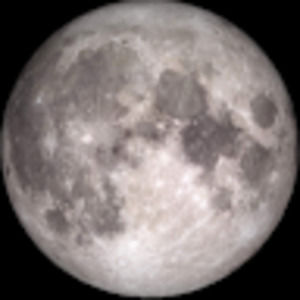 Meet your Posher, Penelope